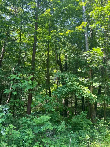 $224,900 | Vl Blair Street, West Olive, MI 49460