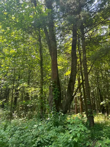 $224,900 | Vl Blair Street, West Olive, MI 49460