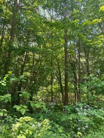 $224,900 | Vl Blair Street, West Olive, MI 49460