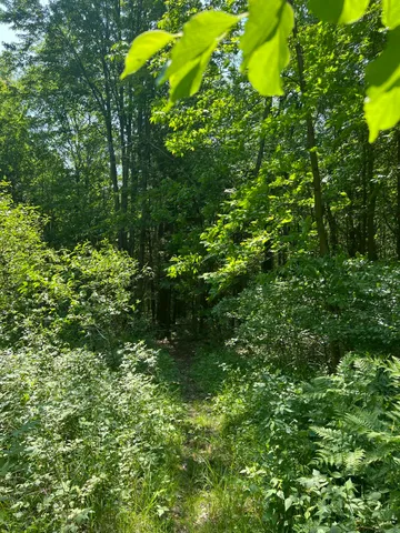 $224,900 | Vl Blair Street, West Olive, MI 49460