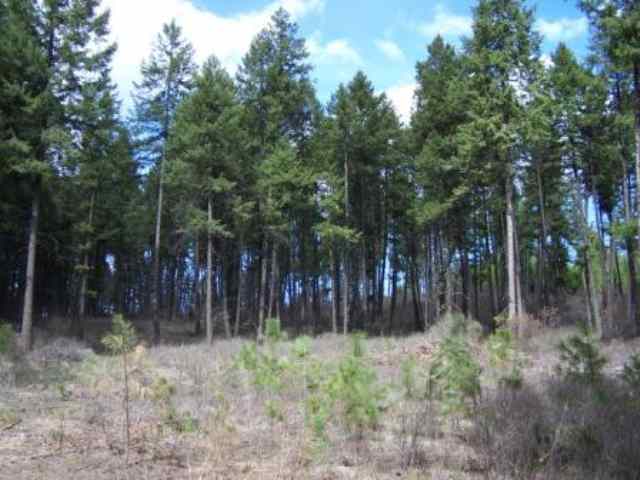 2528 Egland Road Addy, WA 99101 - Photo 4 of 5