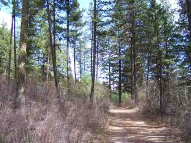 2528 Egland Road Addy, WA 99101 - Photo 5 of 5