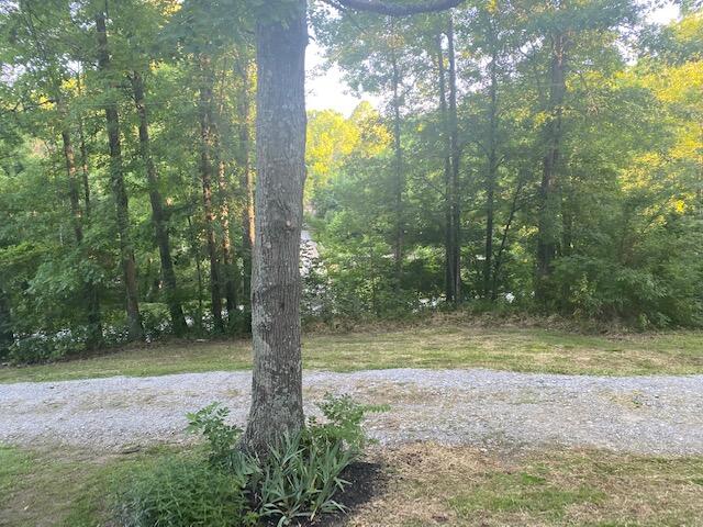 1725 Clarks Cr Road Dry Ridge, KY 41035 - Photo 50 of 50