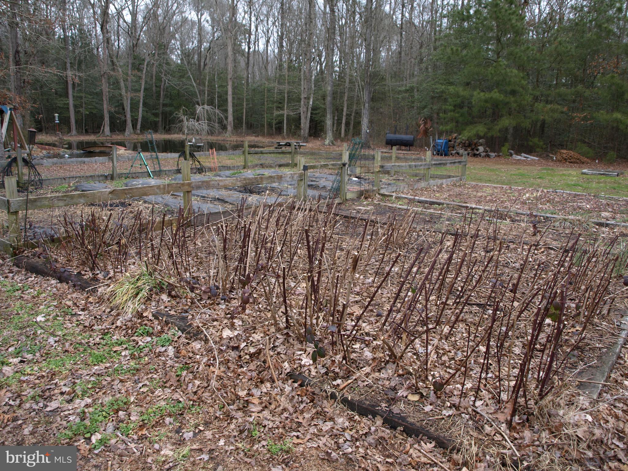 6068 Disharoon Road Snow Hill, MD 21863 - Photo 43 of 54 Gallery Image 43