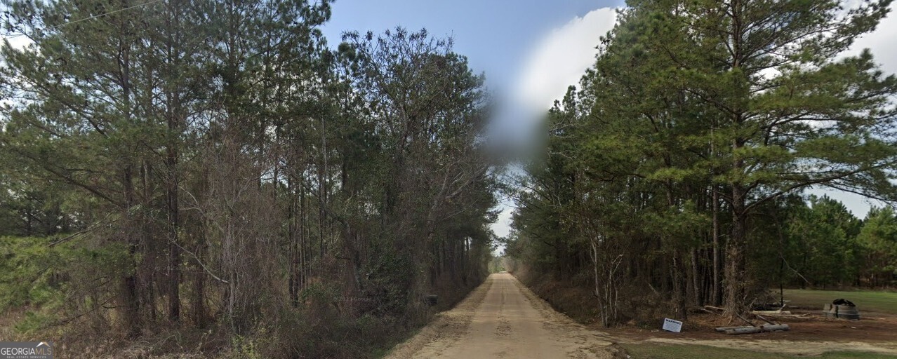 0 Nobles Road Chester, GA 31012 - Photo 2 of 10