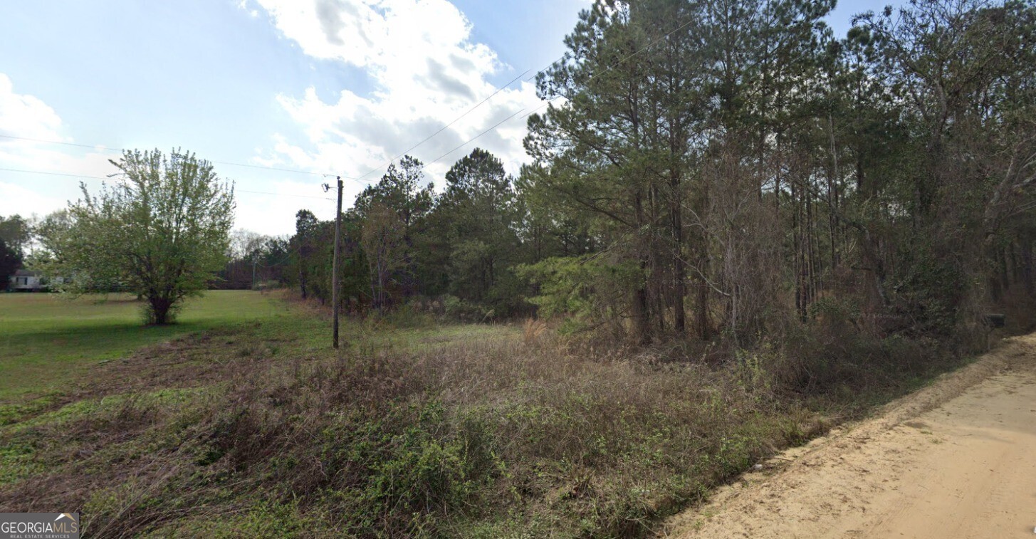 0 Nobles Road Chester, GA 31012 - Photo 3 of 10