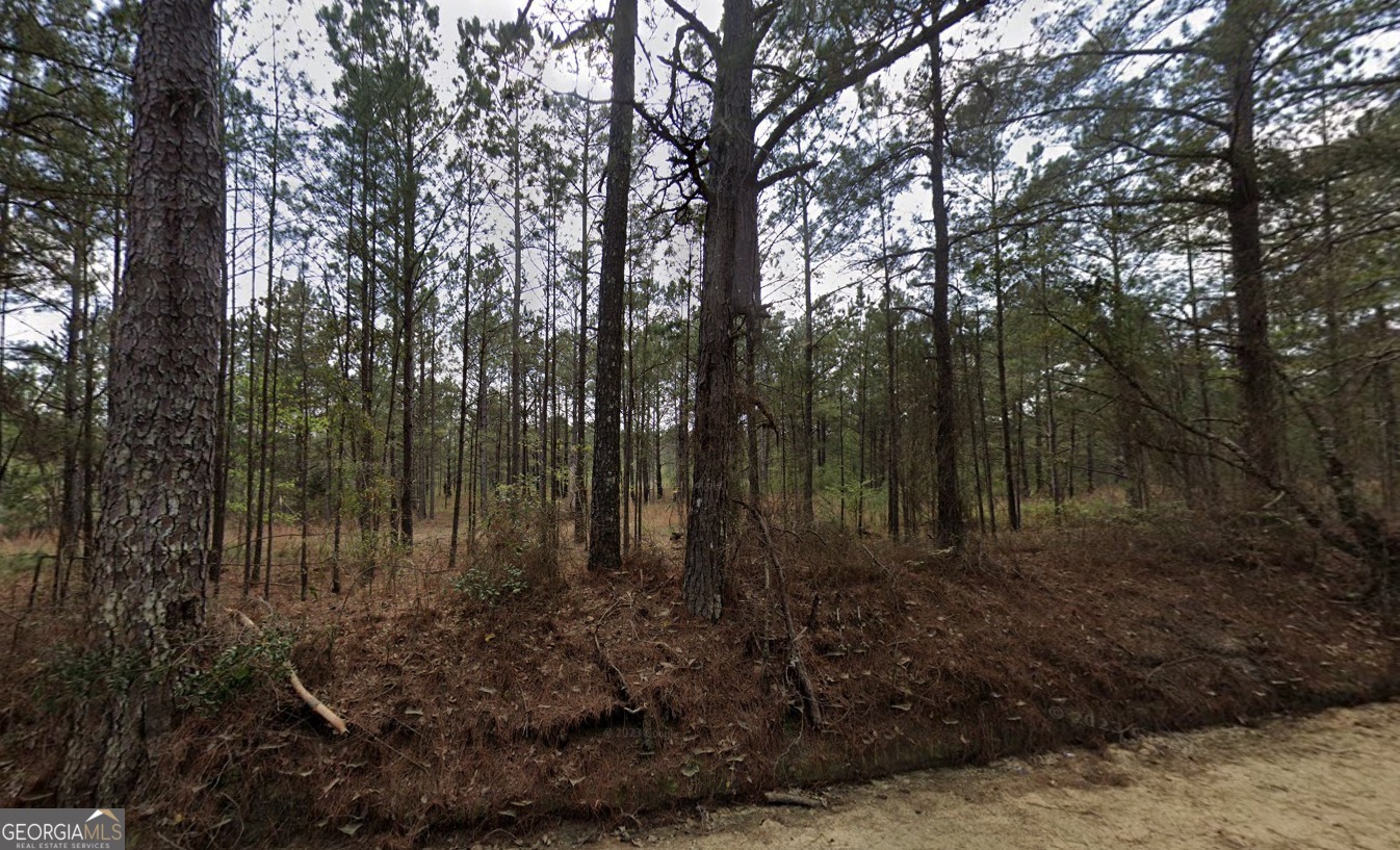 0 Nobles Road Chester, GA 31012 - Photo 4 of 10