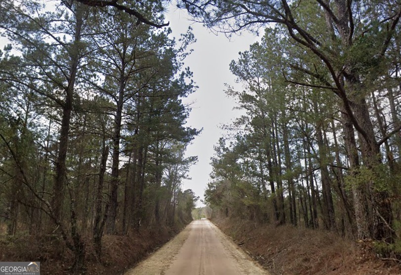 0 Nobles Road Chester, GA 31012 - Photo 5 of 10