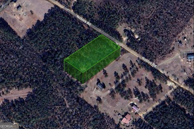 0 Nobles Road Chester, GA 31012 - Photo 6 of 10