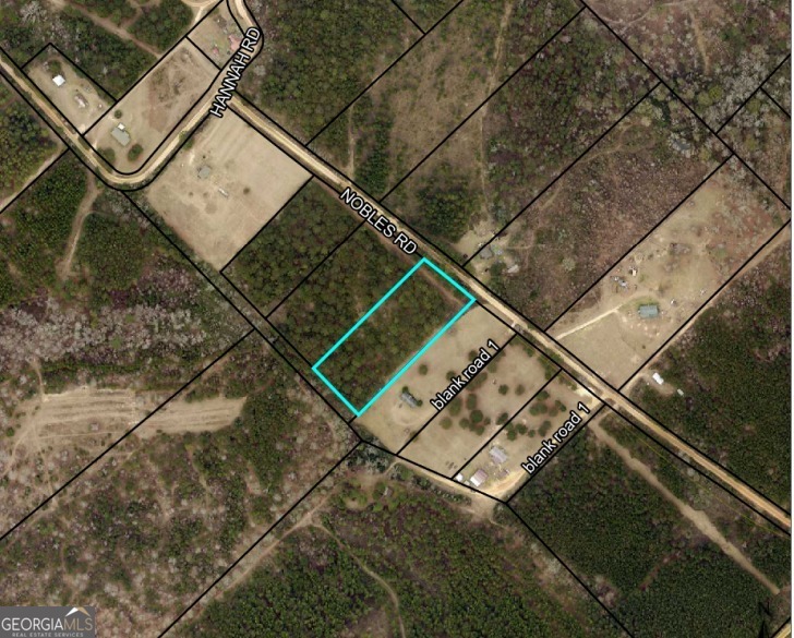 0 Nobles Road Chester, GA 31012 - Photo 7 of 10