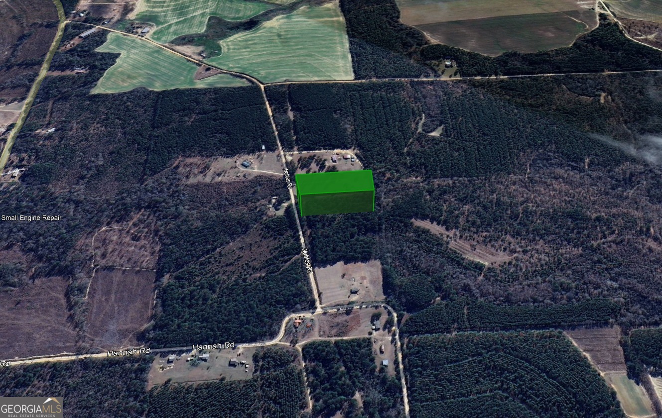 0 Nobles Road Chester, GA 31012 - Photo 8 of 10