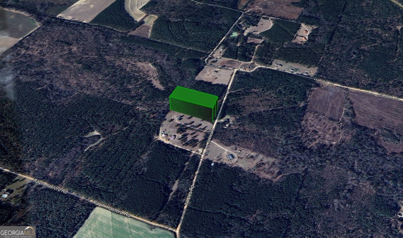 0 Nobles Road Chester, GA 31012 - Photo 10 of 10