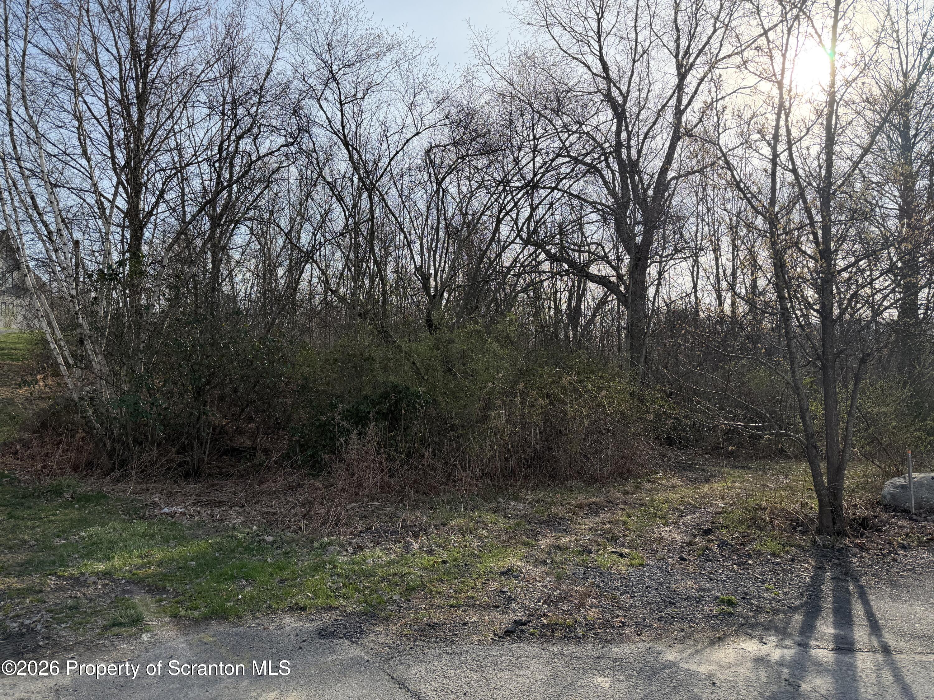Pine Street Mayfield, PA 18433 - Photo 3 of 3 a view of a forest with trees in the background