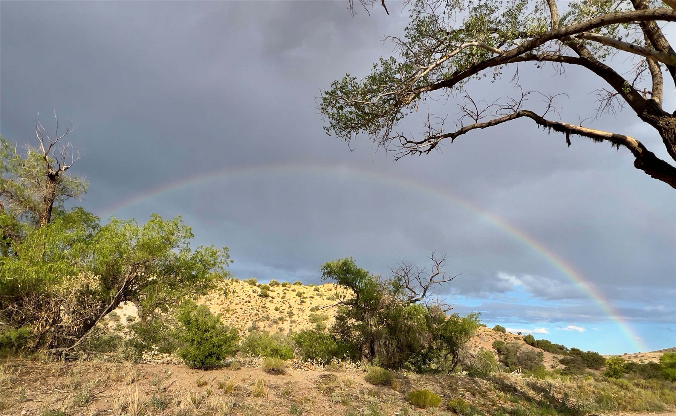 Pitchfork Pitchfork Ranch Silver City, NM 88061 - Photo 56 of 56