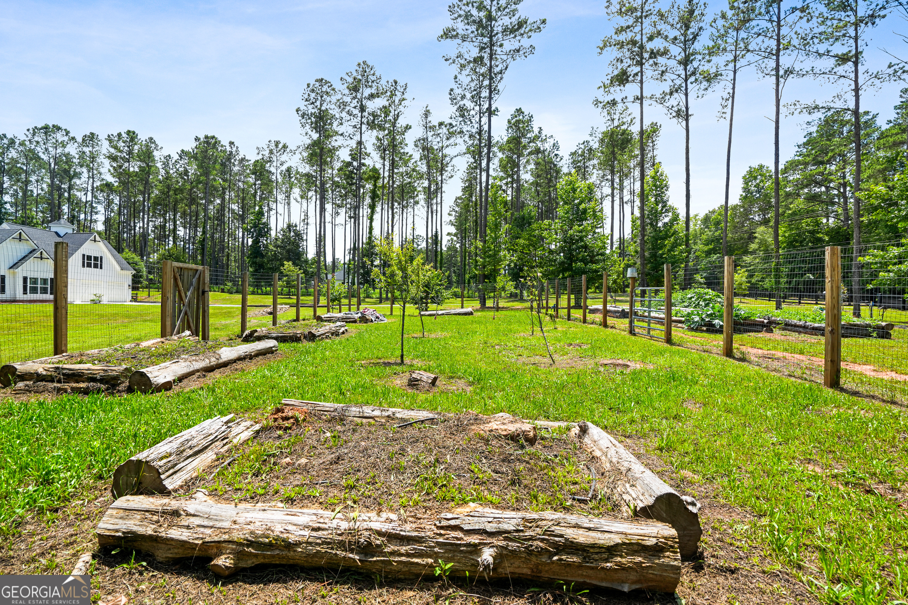 695 Dead Oak Road Senoia, GA 30276 - Photo 65 of 68
