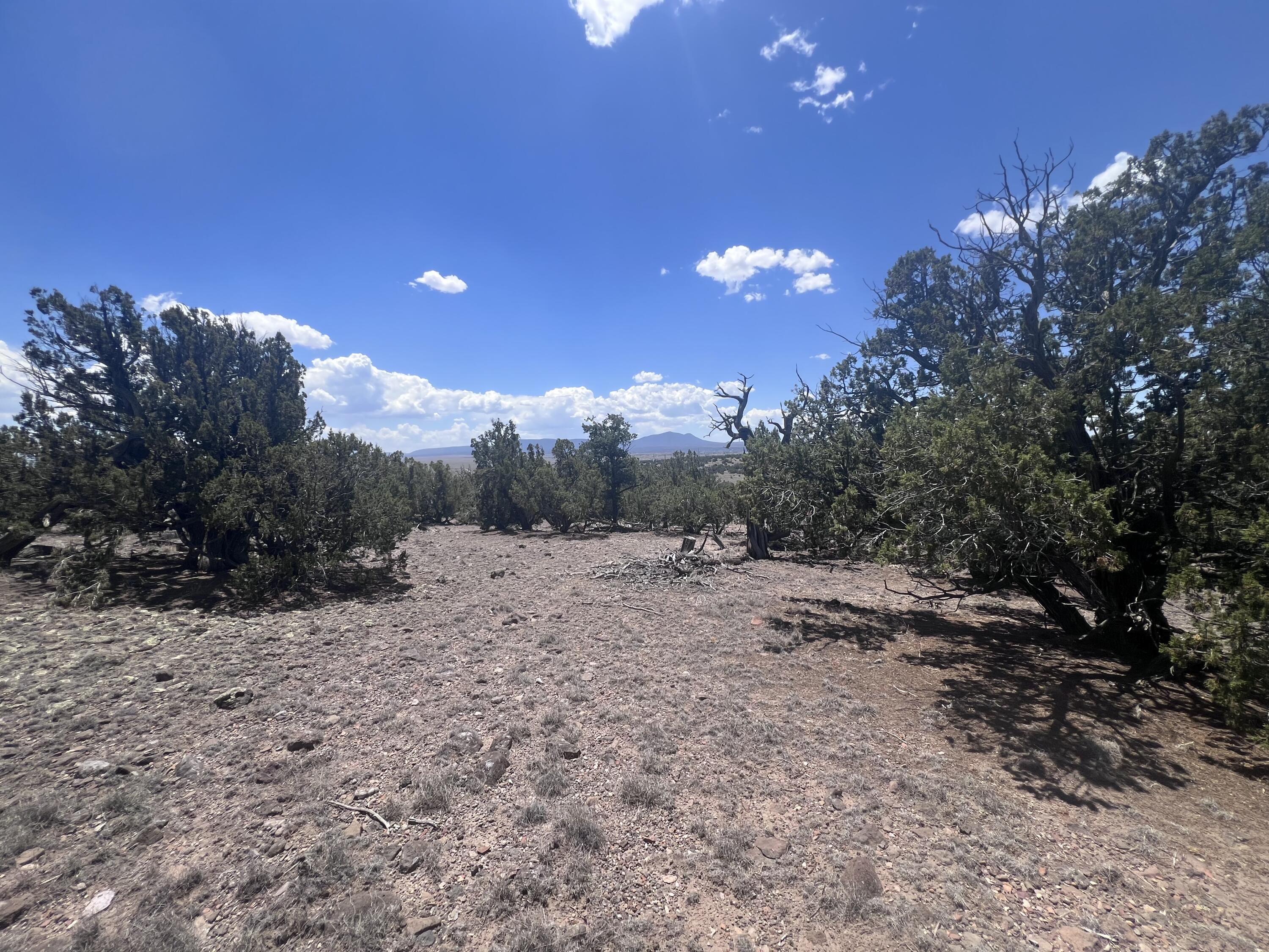 Omega Road Quemado, NM 87829 - Photo 15 of 21 Gallery Image 15
