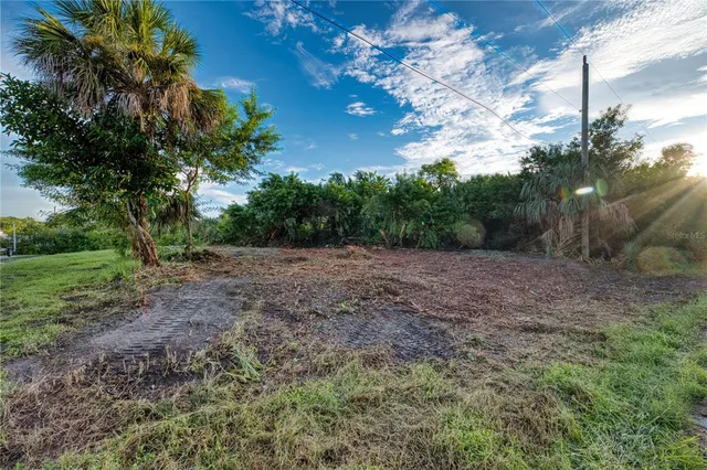 a view of a yard with a tree