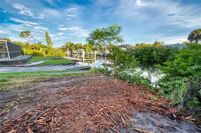 a view of a yard with a tree
