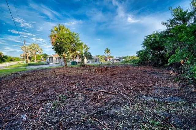 a view of a yard with a tree