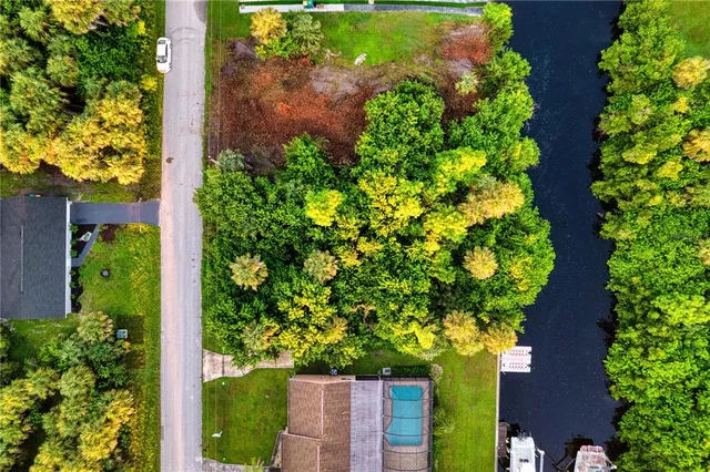 a view of a garden with plants