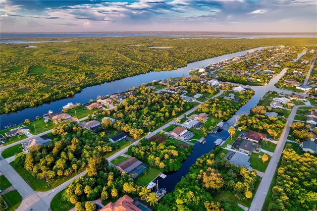 a view of a yard with plants and a fountain