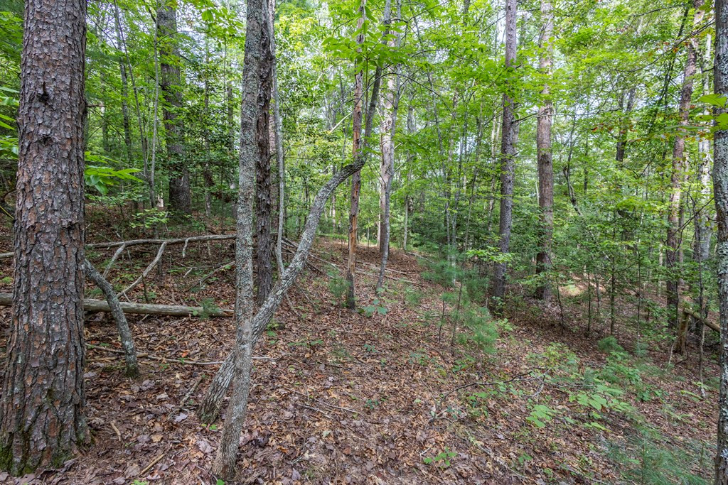 2-ac Horvath Road Murphy, NC 28906 - Photo 5 of 12