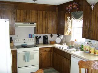 116 Cimarron Road Forest, VA 24551 - Photo 3 of 4 kitchen