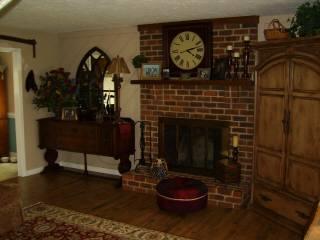 116 Cimarron Road Forest, VA 24551 - Photo 4 of 4 Living Room