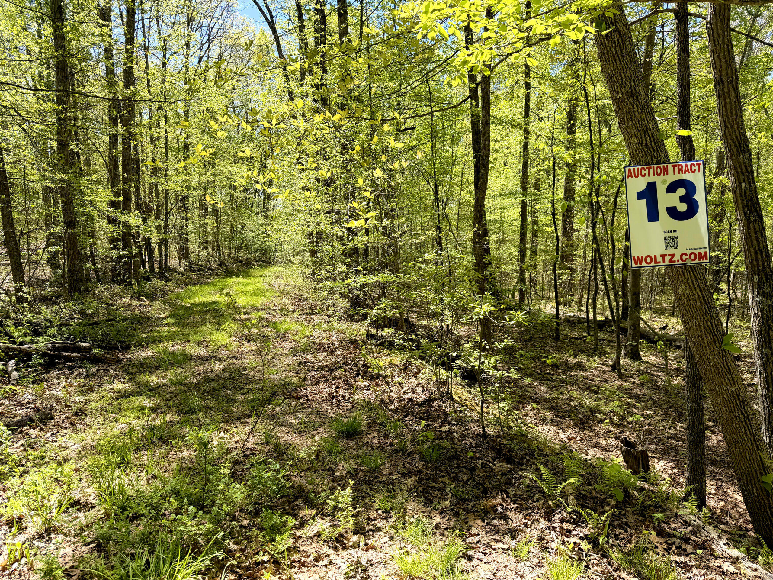 0 Iona Road White Oak, WV 25989 - Photo 52 of 150 Tract-13-IMG_4485-scaled