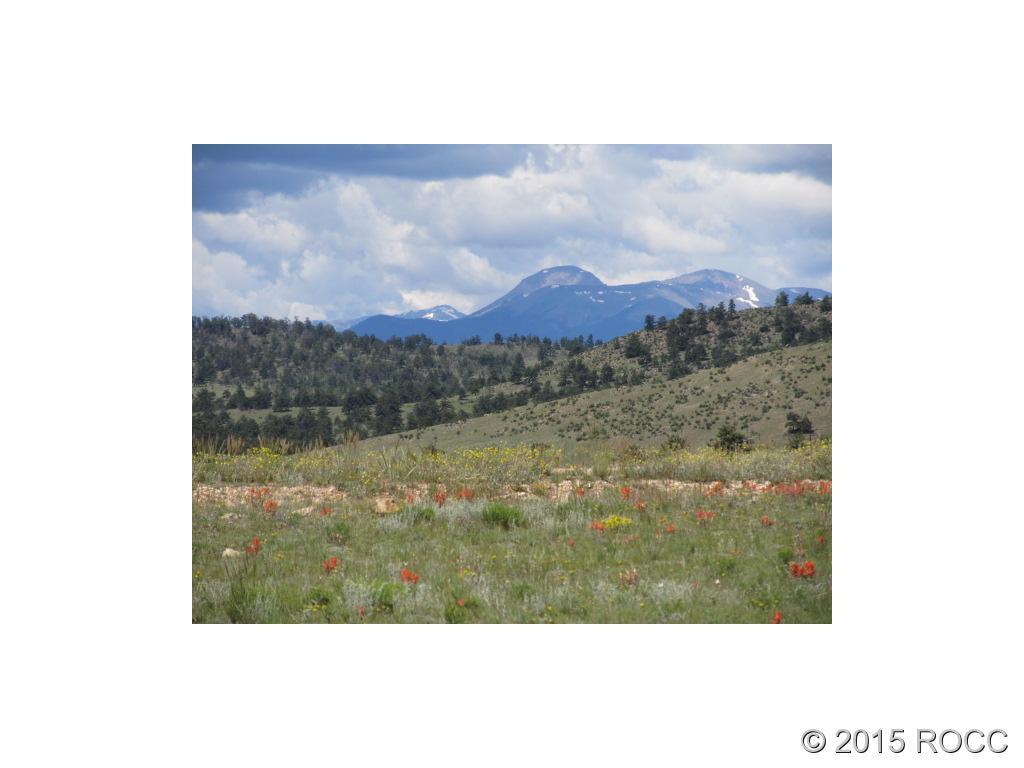 1267 Yellowstone Road Hartsel, CO 80449 - Photo 1 of 5