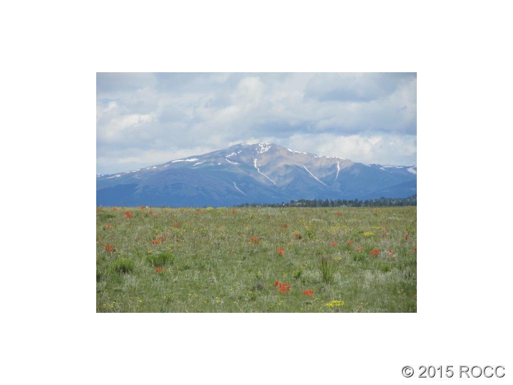 1267 Yellowstone Road Hartsel, CO 80449 - Photo 3 of 5