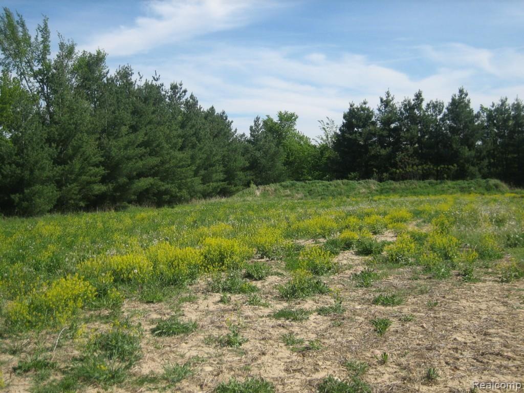 0 Lothrop Road Imlay City, MI 48444 - Photo 7 of 9