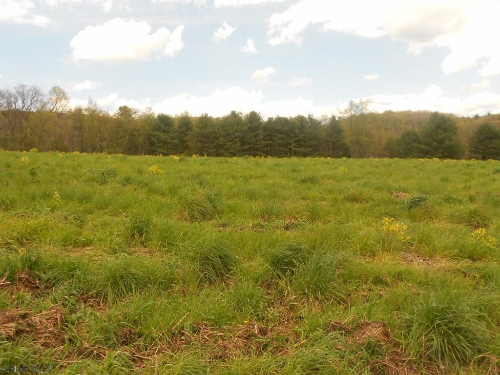 X X Off Aker Road Clearville, PA 15535 - Photo 8 of 10 a view of an outdoor space and a yard