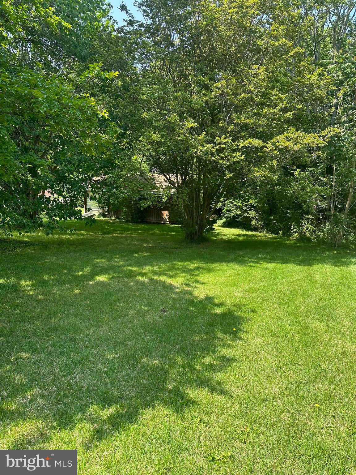 34009 Clay Road Lewes, DE 19958 - Photo 4 of 4 a view of a grassy field with trees
