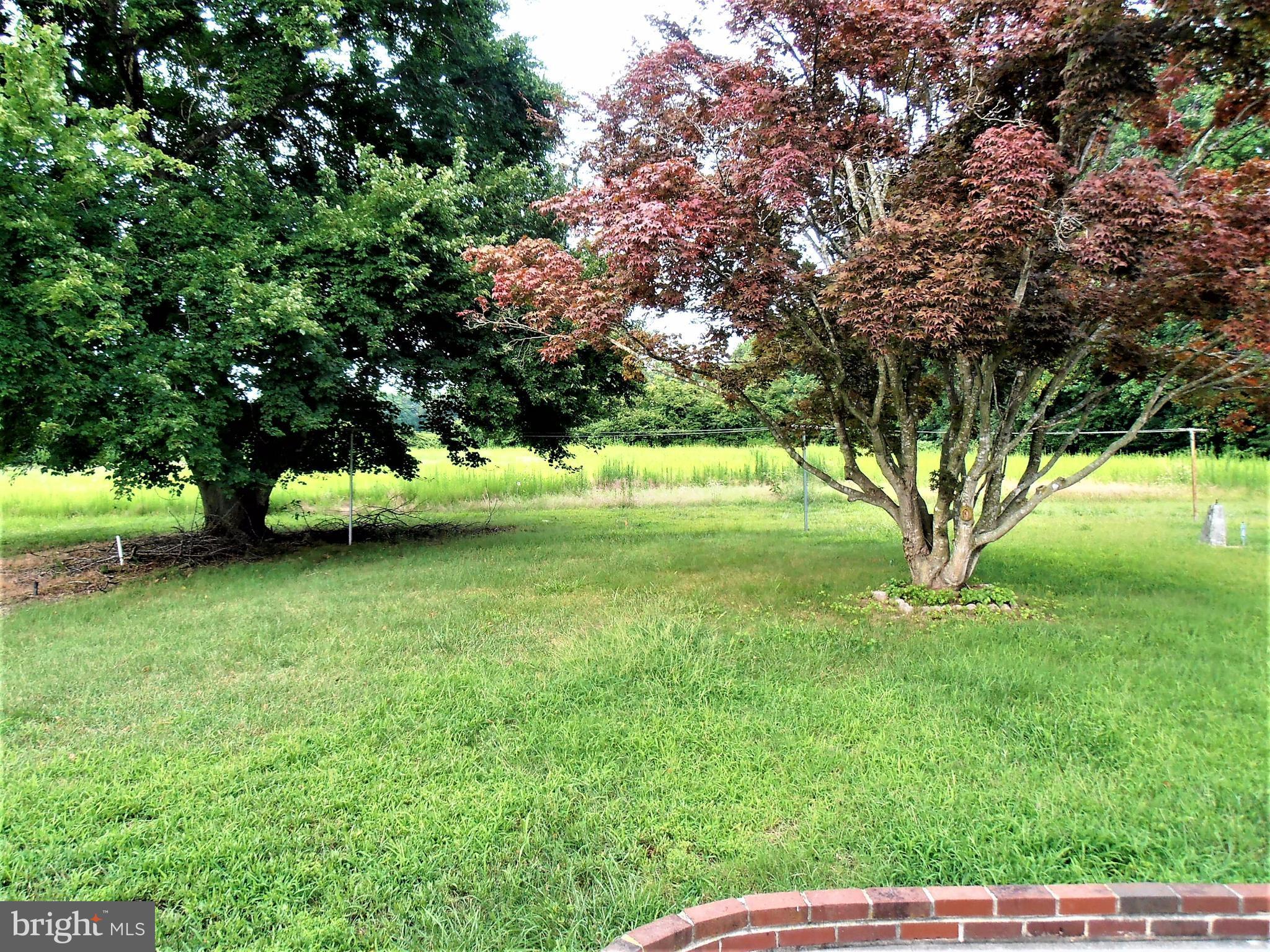 22878 Dover Bridge Road Preston, MD 21655 - Photo 15 of 16 Exterior (Rear)