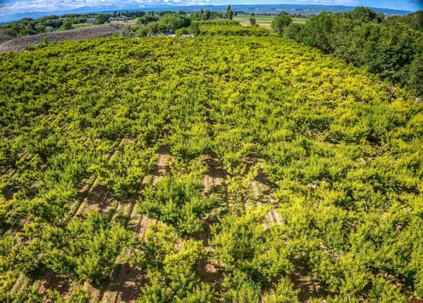 $778,174 | 58703 Ida Road, Olathe, CO 81425