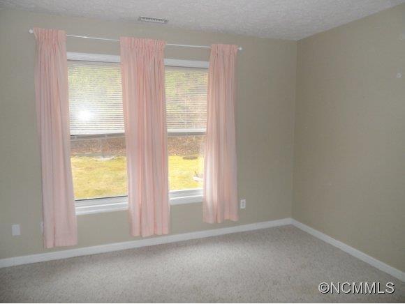75 Uplands Road Brevard, NC 28712 - Photo 9 of 17 Gallery Image 9