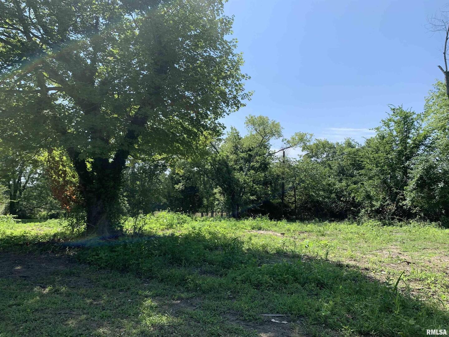 5281-5287 Country Club Road, Unit 2 Murphysboro, IL 62966 - Photo 25 of 27 a view of outdoor space with a garden