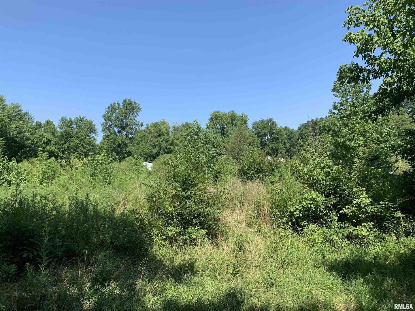 5281-5287 Country Club Road, Unit 2 Murphysboro, IL 62966 - Photo 26 of 27 a view of a lush green forest