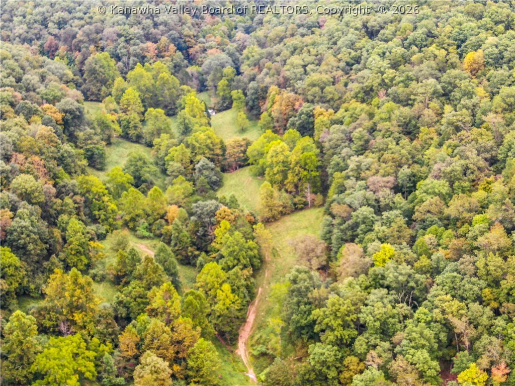 194 Plum Orchard Road Ripley, WV 25271 - Photo 35 of 42 Plenty of wooded areas for hunting.