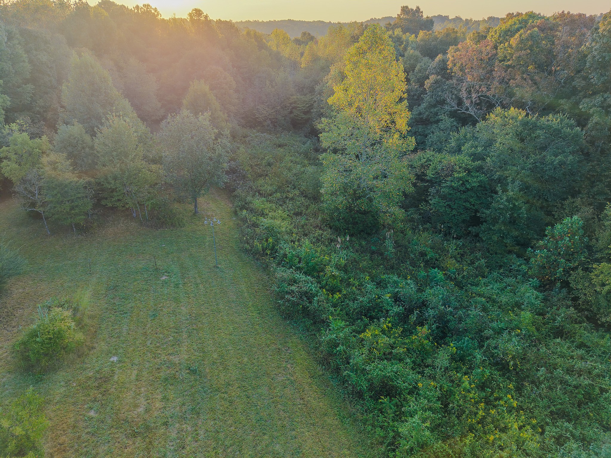 360 Long Branch Road Lawrenceburg, TN 38464 - Photo 39 of 52 Gallery Image 39
