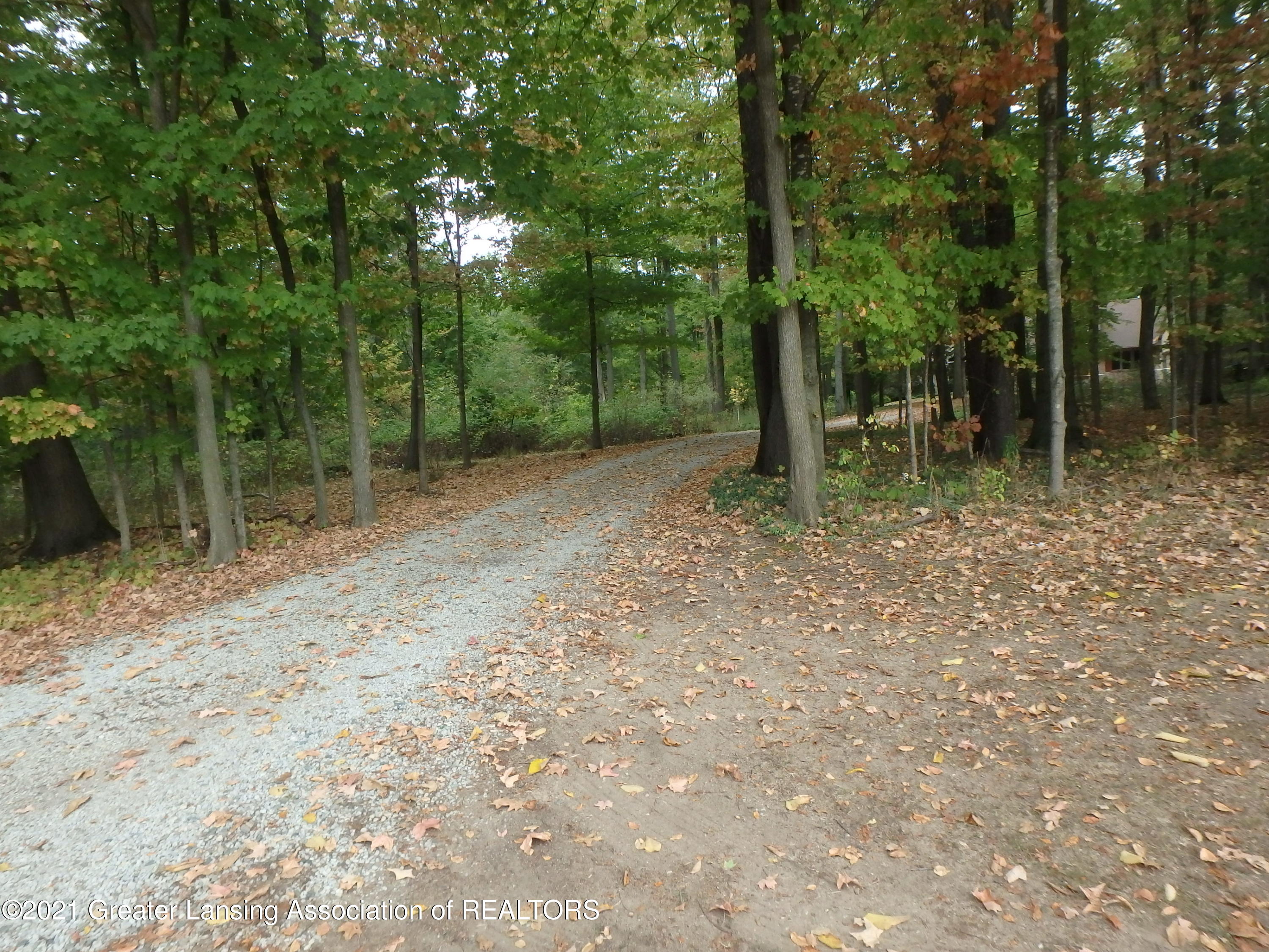 2565 Narrow Lake Road Charlotte, MI 48813 - Photo 49 of 63 2565 looking up the drive