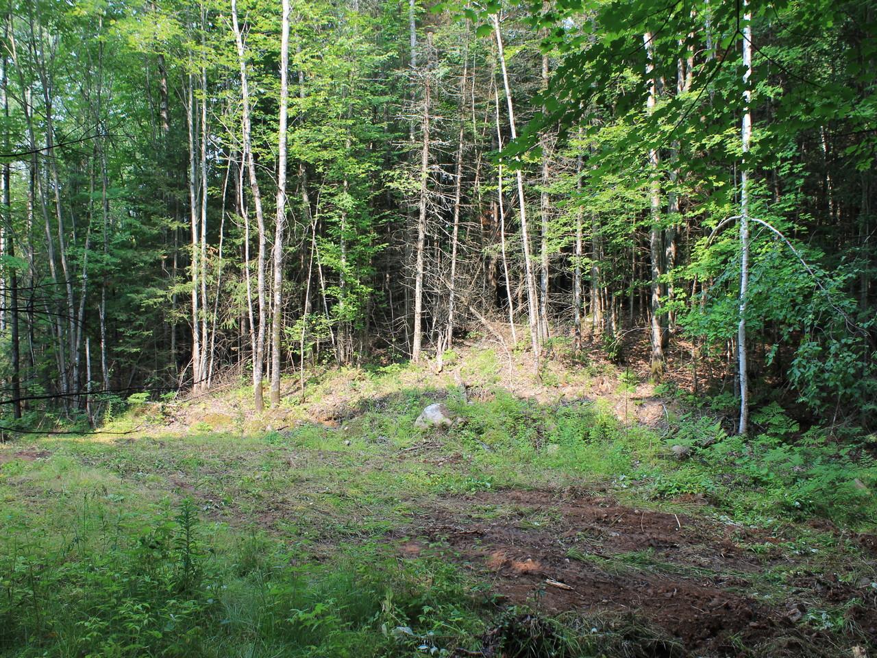 On Nathan Pass, Unit LT 32 Mercer, WI 54547 - Photo 14 of 33 Gallery Image 14