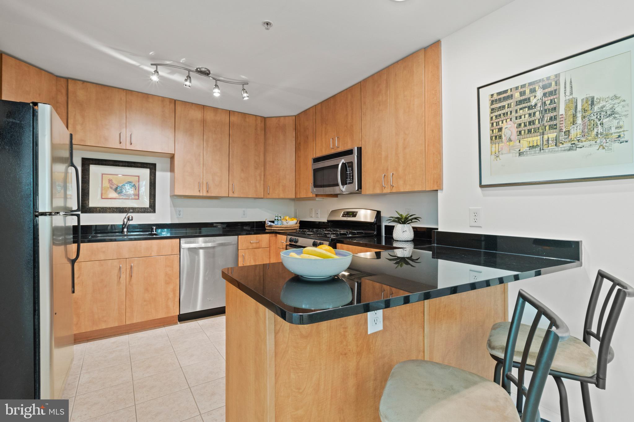 1138 Cove Road, Unit 202 Annapolis, MD 21403 - Photo 8 of 45 New Dishwasher, Disposal and Faucet