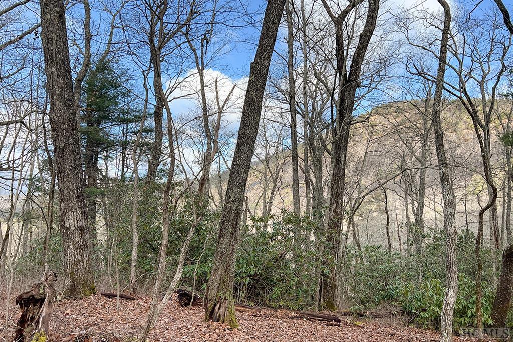 56 Ramble Rdg Road Cashiers, NC 28717 - Photo 10 of 40 Gallery Image 10