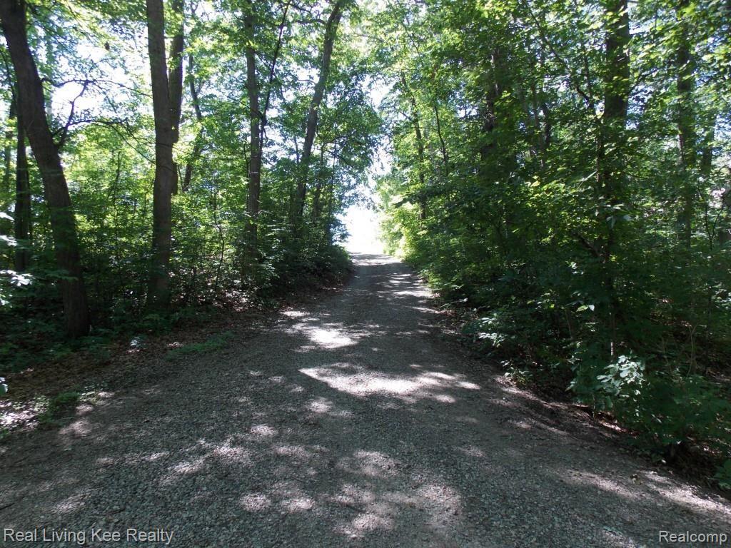 1654 Rochester Road Leonard, MI 48367 - Photo 12 of 45 Private Driveway