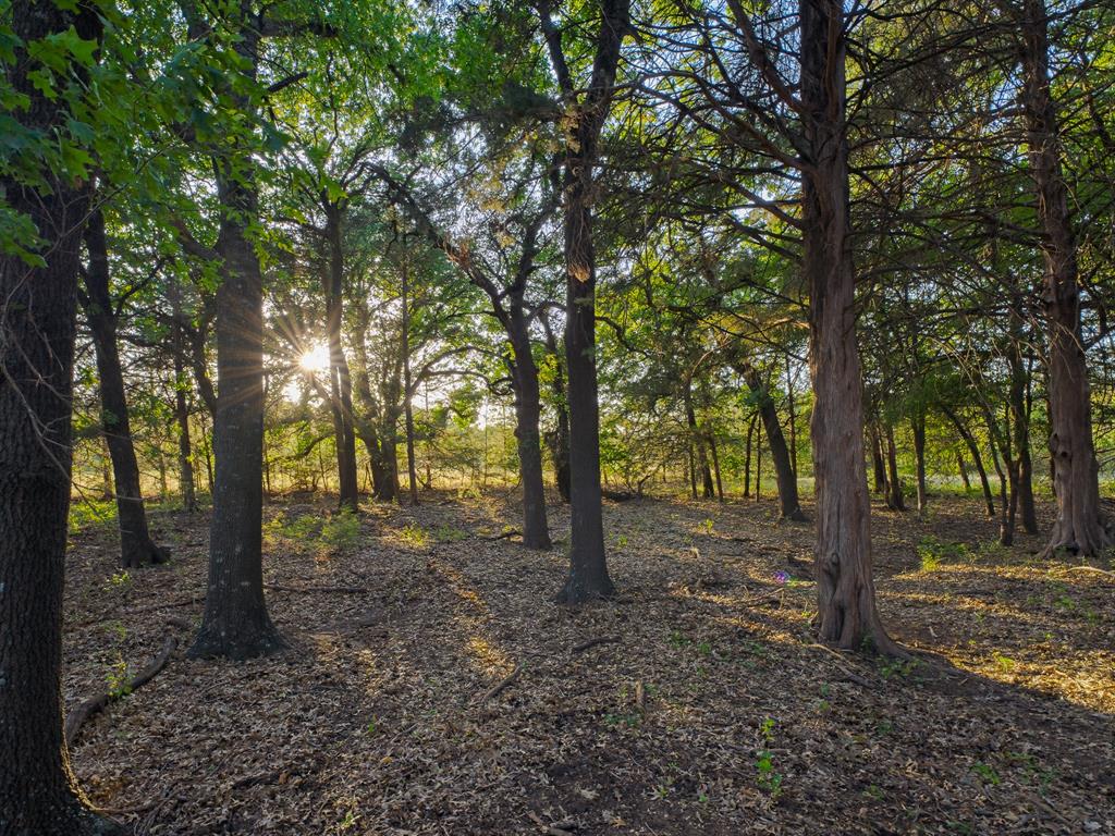 2403 County Road 2224 Decatur, TX 76234 - Photo 38 of 38 Gallery Image 38