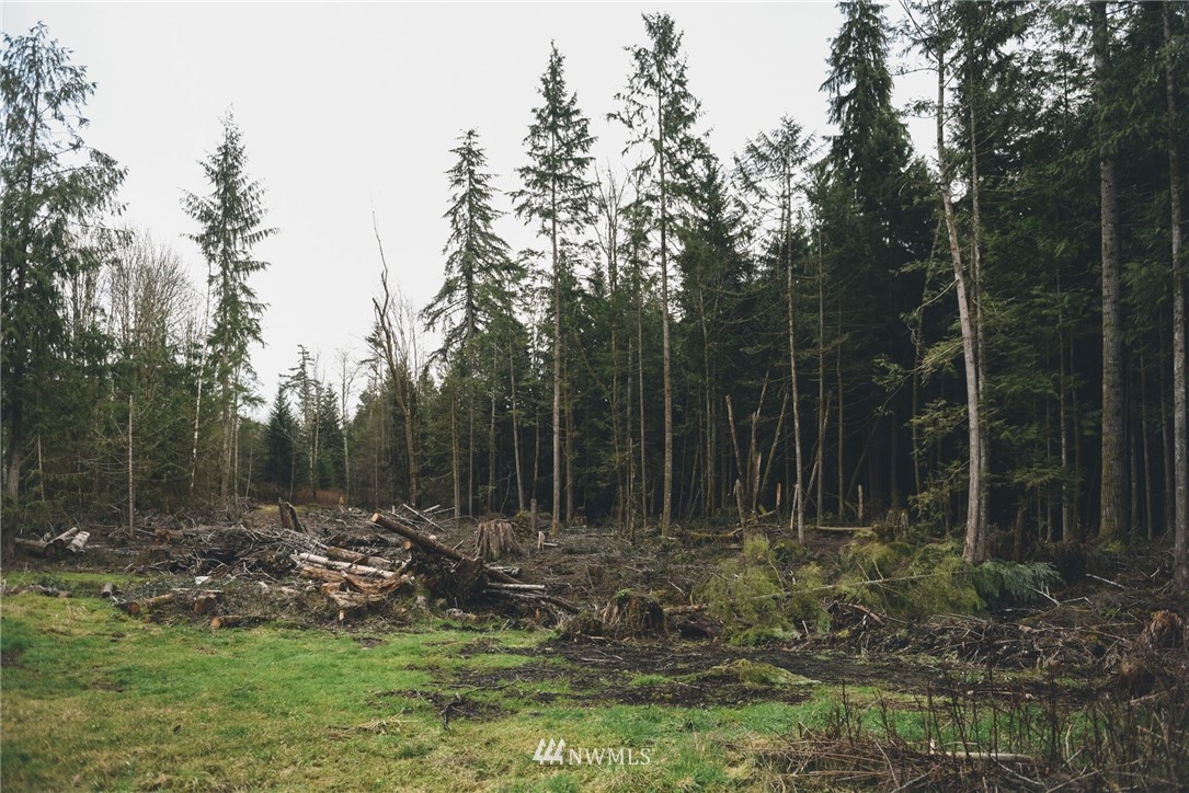 23330 North Lake Cochran Road Monroe, WA 98272 - Photo 25 of 25
