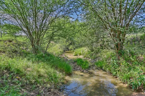 a view of a lush green field