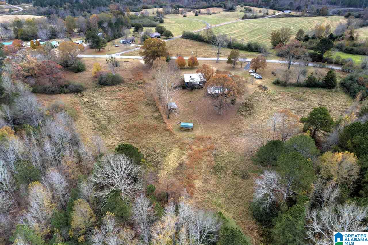 3733 Rose Hill Road Nauvoo, AL 35578 - Photo 3 of 47